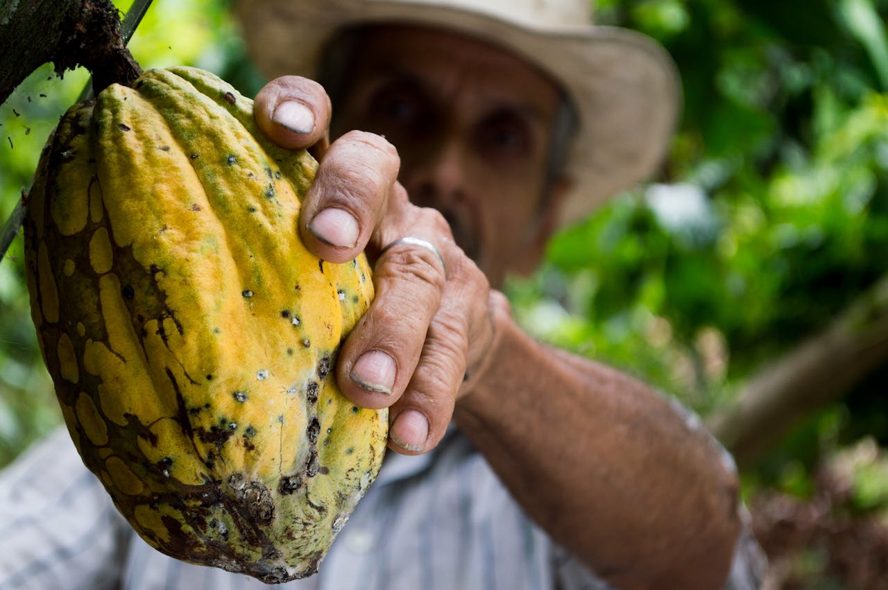 Prozdrowotne właściwości surowego kakao – dlaczego warto dodać je do swoje diety?